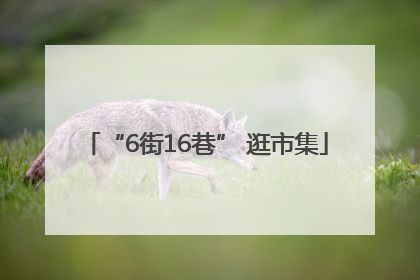 “6街16巷” 逛市集