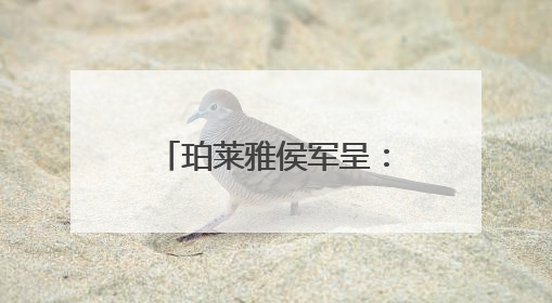 珀莱雅侯军呈：用科技赋能美妆，让 “中国美” 走向全球