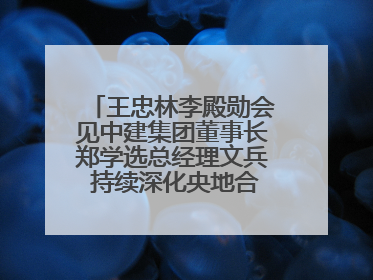王忠林李殿勋会见中建集团董事长郑学选总经理文兵 持续深化央地合作 协力推动支点建设