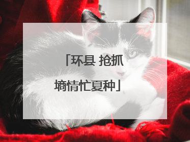 环县 抢抓墒情忙夏种