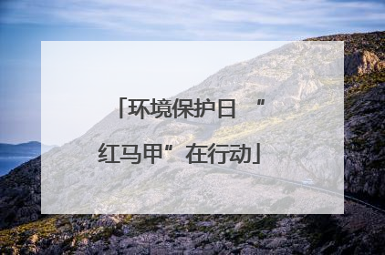 环境保护日 “红马甲”在行动