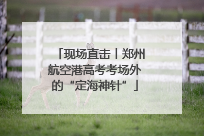 现场直击丨郑州航空港高考考场外的“定海神针”