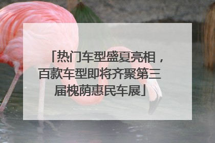 热门车型盛夏亮相，百款车型即将齐聚第三届槐荫惠民车展