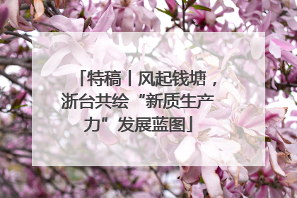 特稿丨风起钱塘，浙台共绘“新质生产力”发展蓝图