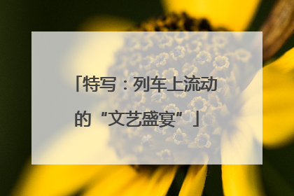 特写：列车上流动的“文艺盛宴”