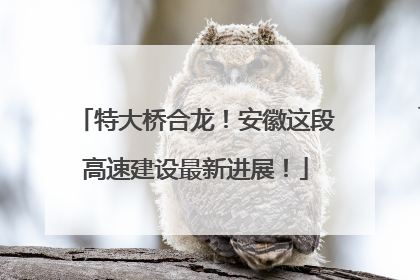 特大桥合龙！安徽这段高速建设最新进展！