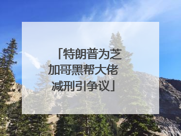 特朗普为芝加哥黑帮大佬减刑引争议