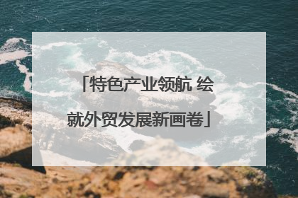 特色产业领航 绘就外贸发展新画卷