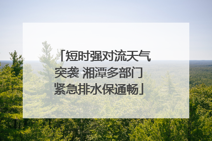短时强对流天气突袭 湘潭多部门紧急排水保通畅