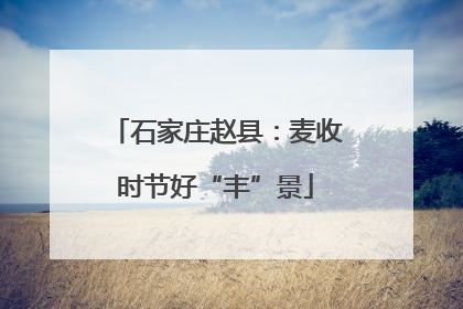 石家庄赵县：麦收时节好“丰”景