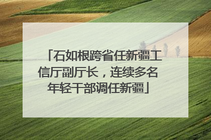 石如根跨省任新疆工信厅副厅长，连续多名年轻干部调任新疆