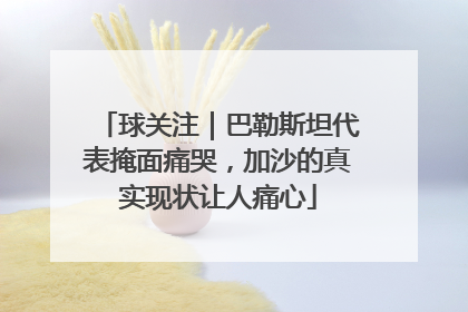 球关注｜巴勒斯坦代表掩面痛哭，加沙的真实现状让人痛心