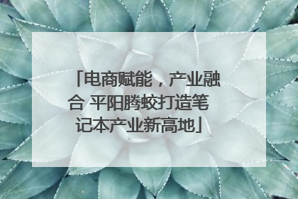 电商赋能，产业融合 平阳腾蛟打造笔记本产业新高地