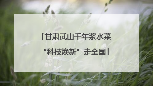 甘肃武山千年浆水菜“科技焕新”走全国