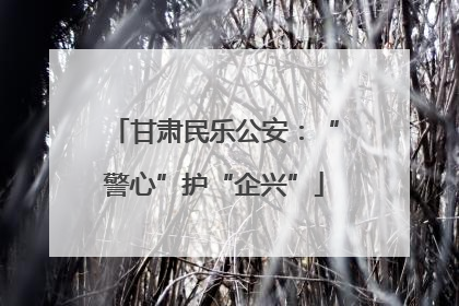 甘肃民乐公安：“警心”护“企兴”