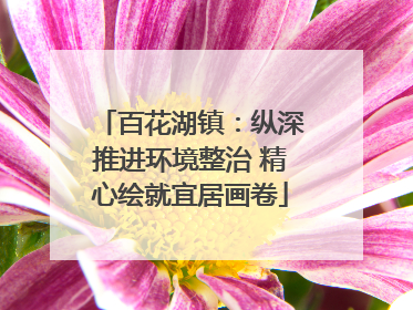 百花湖镇：纵深推进环境整治 精心绘就宜居画卷