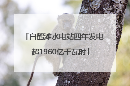 白鹤滩水电站四年发电超1960亿千瓦时