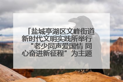 盐城亭湖区文峰街道新时代文明实践所举行“老少同声爱国情 同心奋进新征程”为主题的红色文化活动