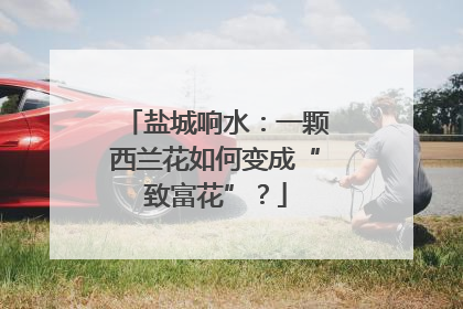 盐城响水：一颗西兰花如何变成“致富花”？