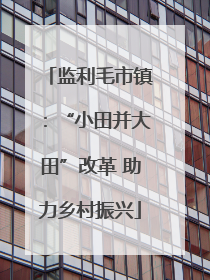 监利毛市镇：“小田并大田”改革 助力乡村振兴