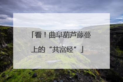 看！曲阜葫芦藤蔓上的“共富经”