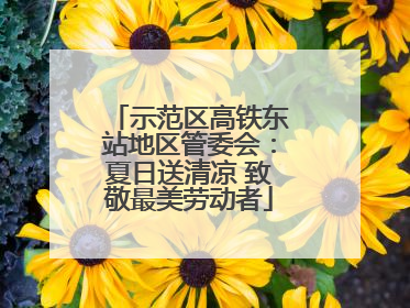 示范区高铁东站地区管委会：夏日送清凉 致敬最美劳动者