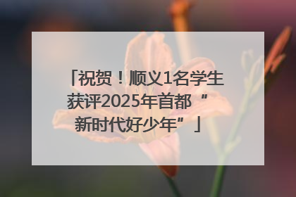 祝贺！顺义1名学生获评2025年首都“新时代好少年”