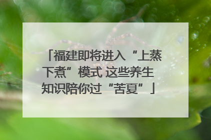 福建即将进入“上蒸下煮”模式 这些养生知识陪你过“苦夏”