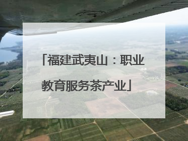 福建武夷山：职业教育服务茶产业