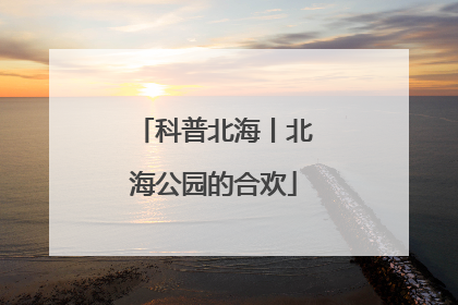 科普北海丨北海公园的合欢