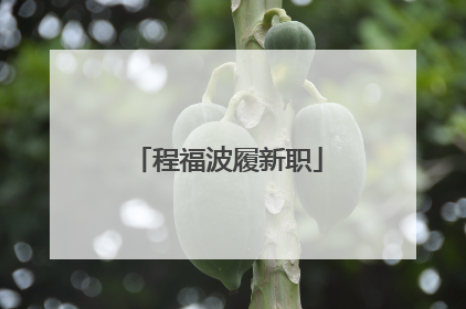 程福波履新职
