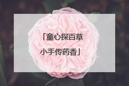 童心探百草 小手传药香