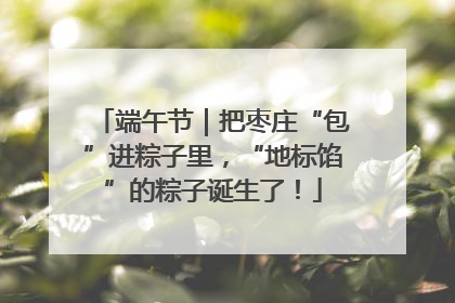 端午节｜把枣庄“包”进粽子里，“地标馅”的粽子诞生了！
