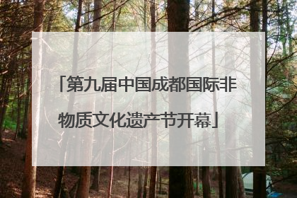 第九届中国成都国际非物质文化遗产节开幕
