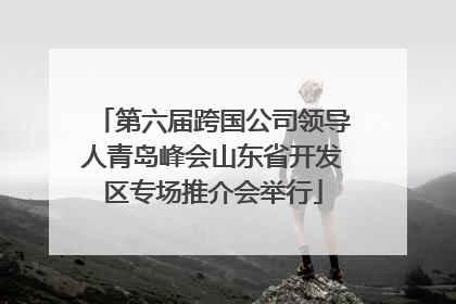 第六届跨国公司领导人青岛峰会山东省开发区专场推介会举行