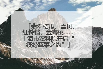 翡翠桔瓜、雪贝、红铃铛、金寿桃……上海市农科院开启“缤纷蔬菜之约”