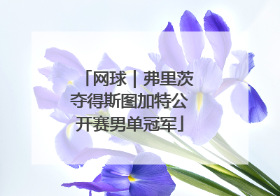 网球｜弗里茨夺得斯图加特公开赛男单冠军