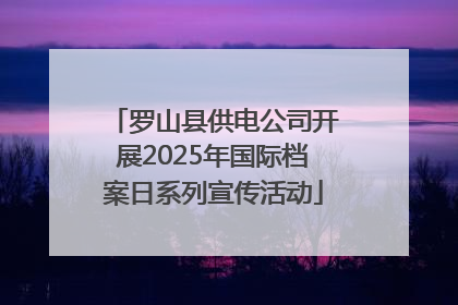 罗山县供电公司开展2025年国际档案日系列宣传活动