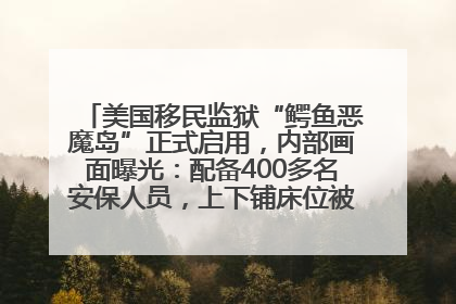 美国移民监狱“鳄鱼恶魔岛”正式启用，内部画面曝光：配备400多名安保人员，上下铺床位被罩在铁丝网里