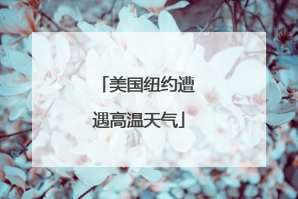 美国纽约遭遇高温天气