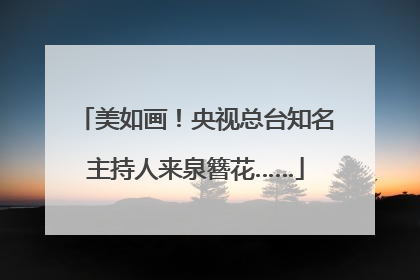 美如画！央视总台知名主持人来泉簪花……