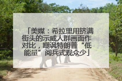 美媒：希拉里用挤满街头的示威人群画面作对比，嘲讽特朗普“低能量”阅兵式观众少
