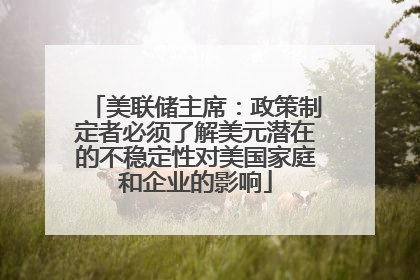 美联储主席：政策制定者必须了解美元潜在的不稳定性对美国家庭和企业的影响