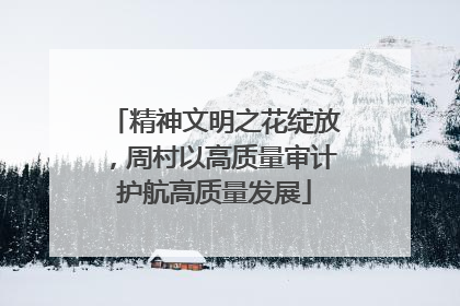 精神文明之花绽放，周村以高质量审计护航高质量发展
