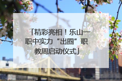 精彩亮相！乐山一职中实力“出圈”职教周启动仪式
