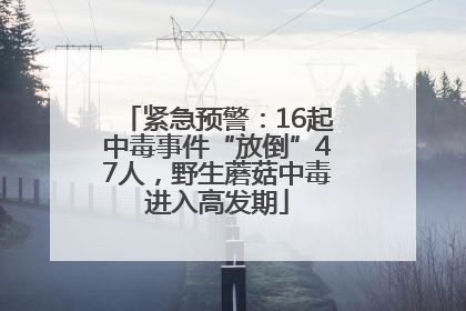 紧急预警：16起中毒事件“放倒”47人，野生蘑菇中毒进入高发期