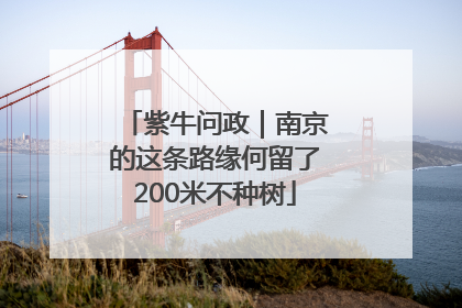 紫牛问政｜南京的这条路缘何留了200米不种树