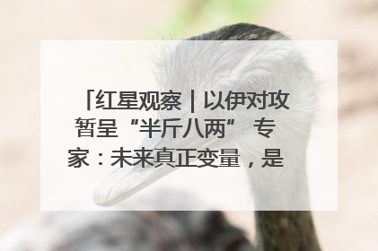 红星观察｜以伊对攻暂呈“半斤八两” 专家：未来真正变量，是美国是否进一步介入