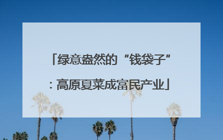 绿意盎然的“钱袋子”：高原夏菜成富民产业