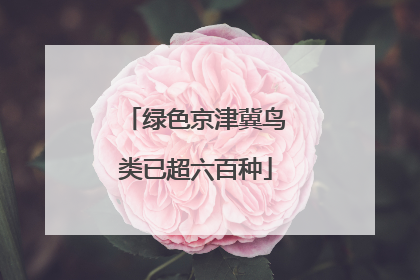 绿色京津冀鸟类已超六百种
